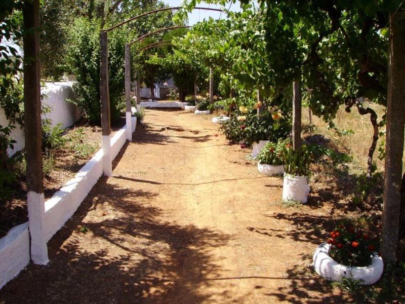 Turimenha Guest House Marvao  Bagian luar foto