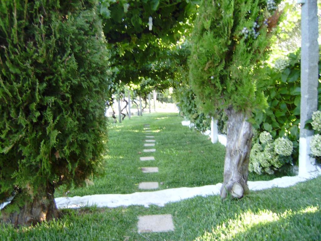 Turimenha Guest House Marvao  Bagian luar foto